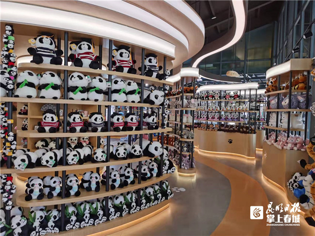 小动物搬新家熊猫文创店亮相昆明动物园等你约
