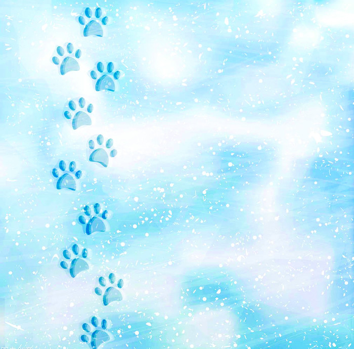 雪地上的小脚印_腾讯新闻