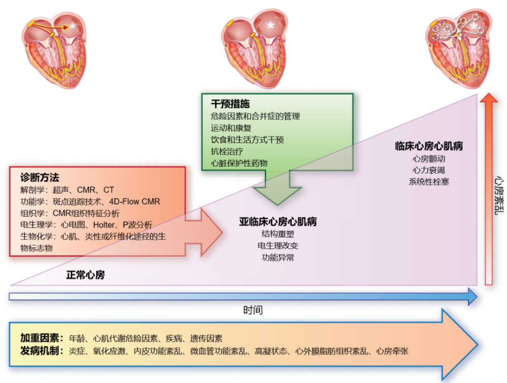 本文總結了歐洲心臟病學會(esc)心力衰竭協會專家研討會的內容,討論了