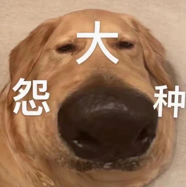 修狗表情包我才不在乎呢