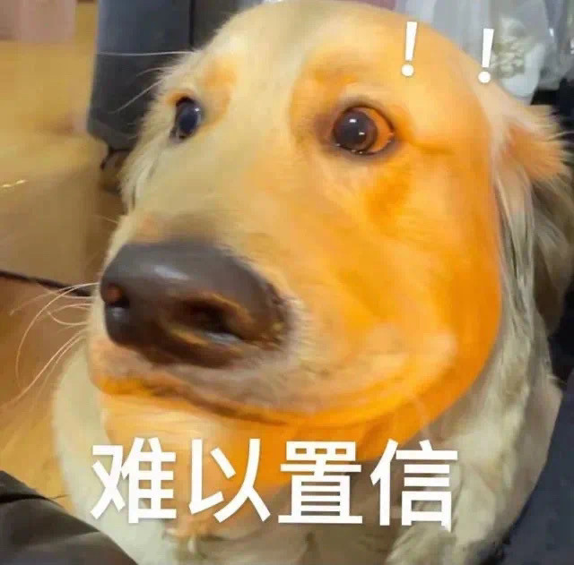 修狗表情包我才不在乎呢