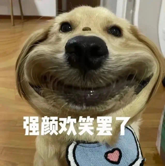 修狗表情包我才不在乎呢