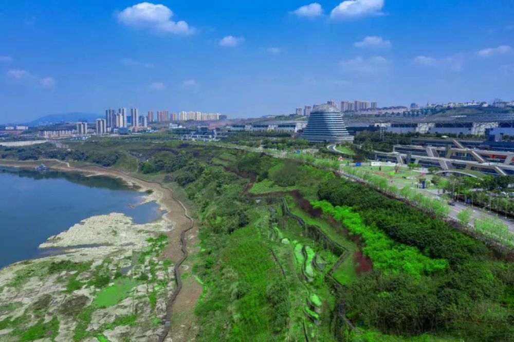 铂悦滨江悦来舒居的顶流之路