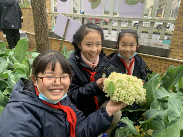 杭州市临平第三小学花式作业餐跳动新寒假