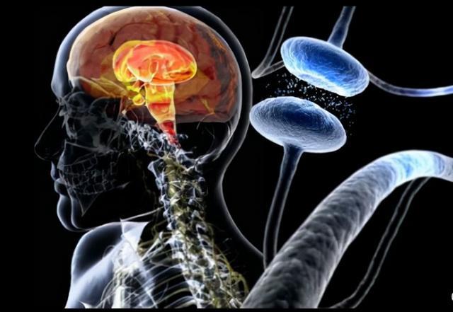 天文学家濒死体验1:发现五维世界奥秘,人类意识存于线粒体