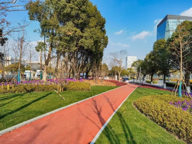 临港新片区的这条绿带焕然一新