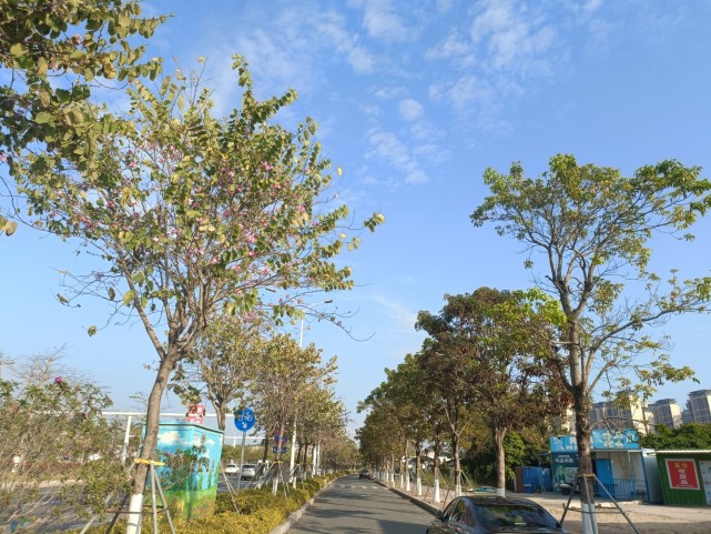 为民办实事创建文明村记2021年度汕尾市文明村金町村