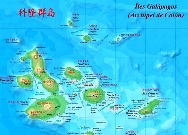 虽然面积不大,但加拉帕戈斯群岛所处位置非常特殊,处于寒暖流交汇之处