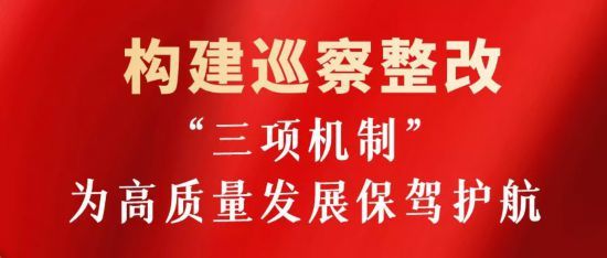 构建巡察整改工作责任落实机制落实责任更加扎实有力加强顶层设计"明