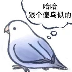 說的什麼鳥語鳥圖系列表情包_騰訊新聞