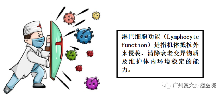 prcl免疫功能檢測系列四淋巴細胞功能檢測