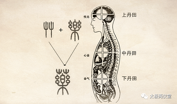 丹田准确位置图 腾讯网