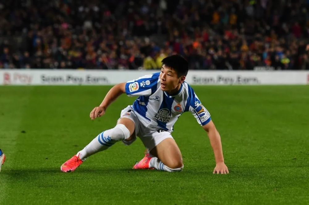 日本叫声销魂排行_外来鹿科生物在日本首都圈大量繁殖:叫声像狗已超过4.4万头