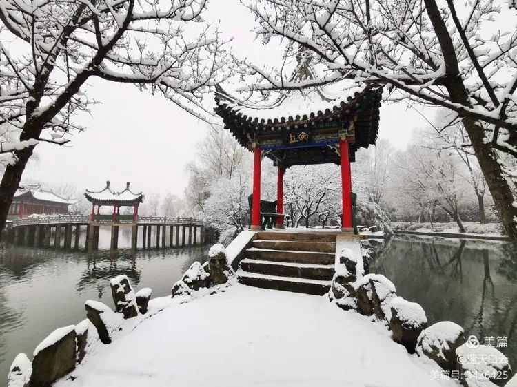 凤翔东湖雪景