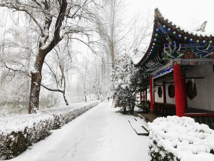 凤翔东湖雪景