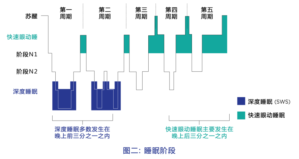 由此他们确定了快速眼动睡眠(rem)与非快速眼动睡眠(nrem)此外,他们