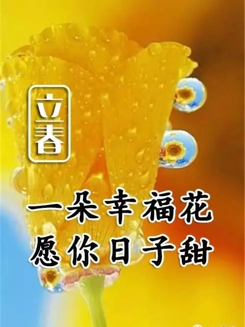 创意唯美的立春温馨问候祝福立春问候祝福语说说图片精选
