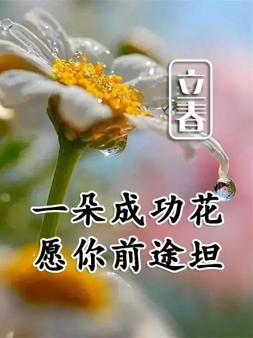 创意唯美的立春温馨问候祝福 立春问候祝福语说说图片精选