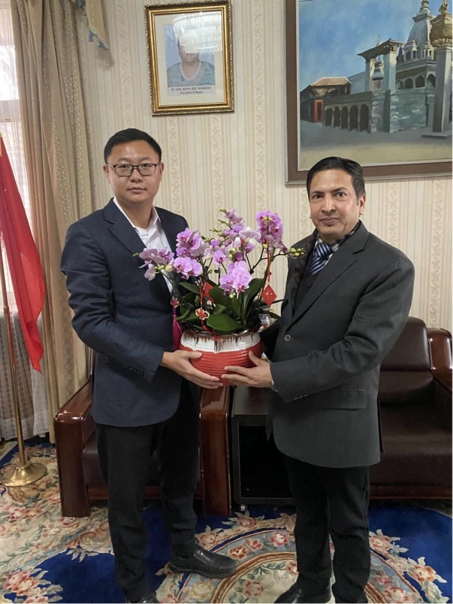 青岛莱西种出蝴蝶兰新春飞入大使馆