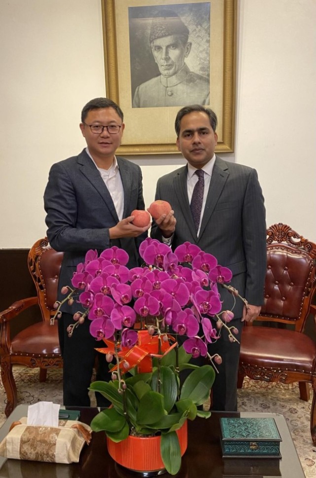 青岛莱西种出蝴蝶兰新春飞入大使馆