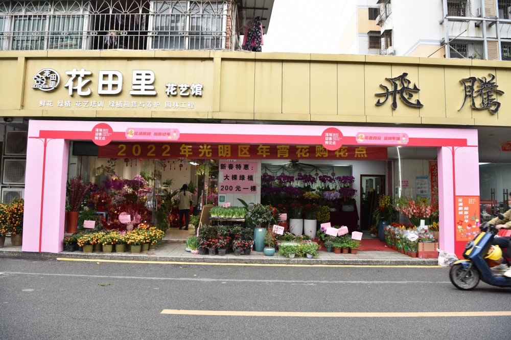 華夏路44-22美景花園商鋪(花田裡)紅木小鎮購花點年宵花藝體驗活動牛