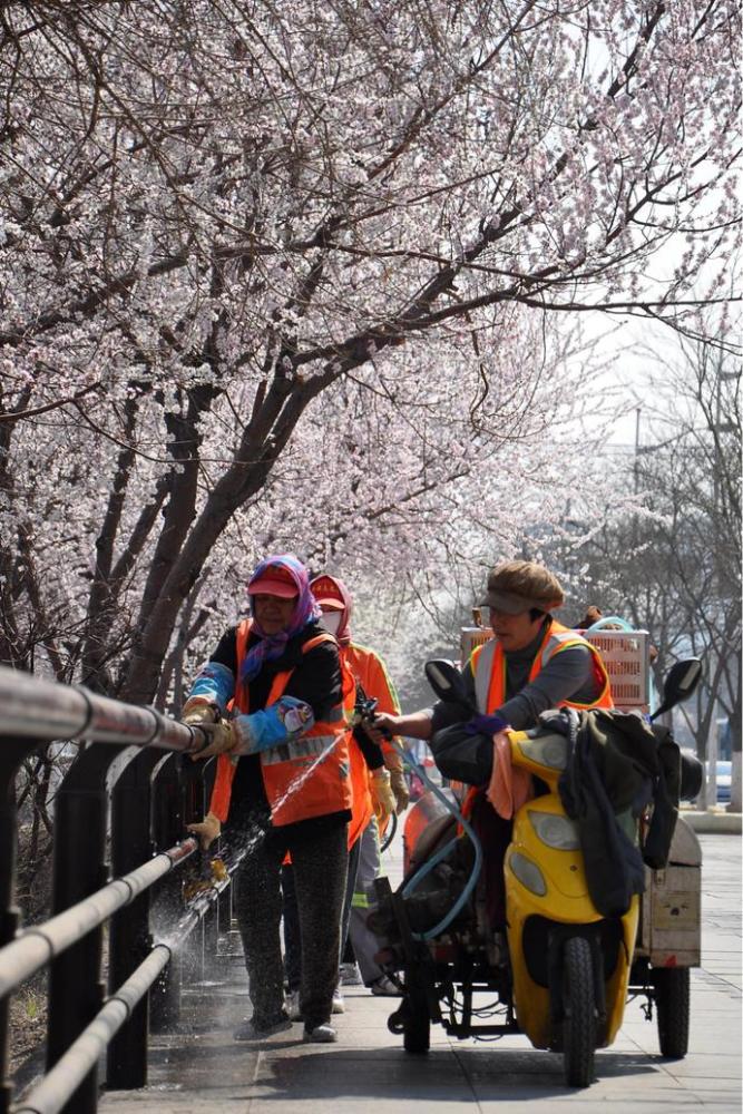 《年夜饭》作者:董力铭《坚守》作者:郭维邦《志愿者的心声》作者
