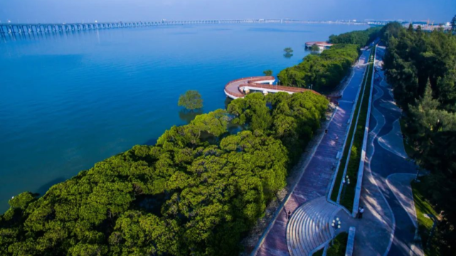 西鄉地域文化和濱海文化三大特色公園現擁有百畝紅樹林,13公里園路3