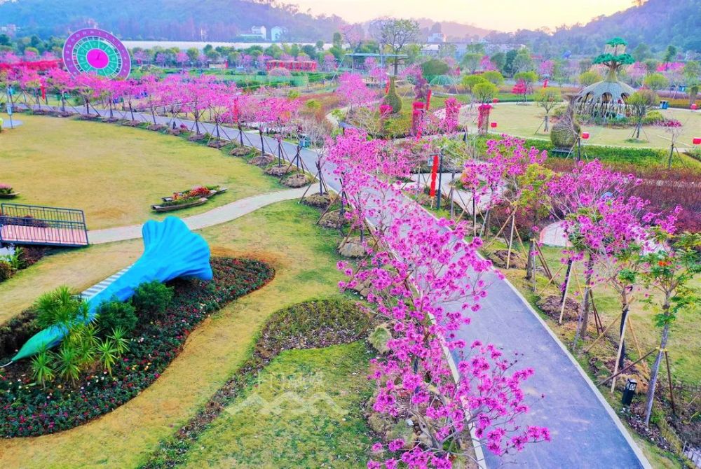 嶺南大地恢復營業斗門市民公園的善雅書房·童趣館,霞山公園的善雅