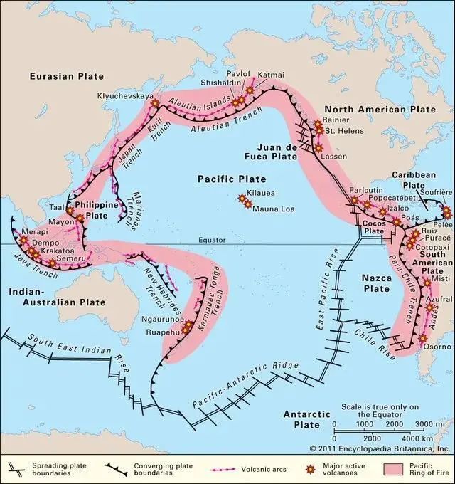 火山爆發全境失聯的湯加原來是全世界最適合觀鯨的天堂