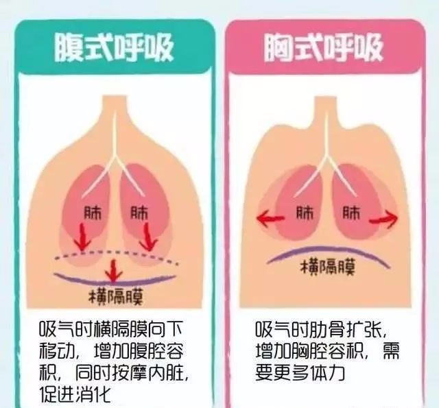 腹式呼吸是长寿之源