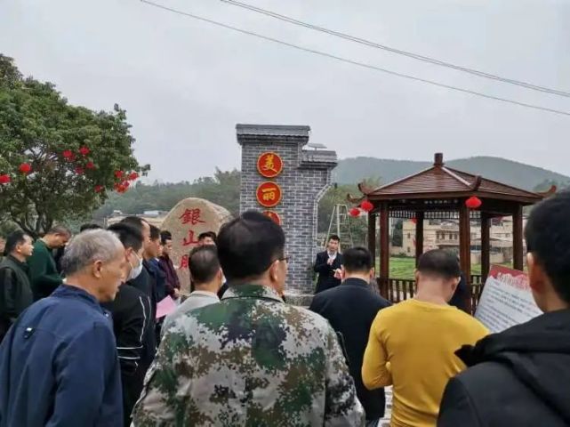 新春走基层顿谷镇汇聚乡贤心共筑家乡梦