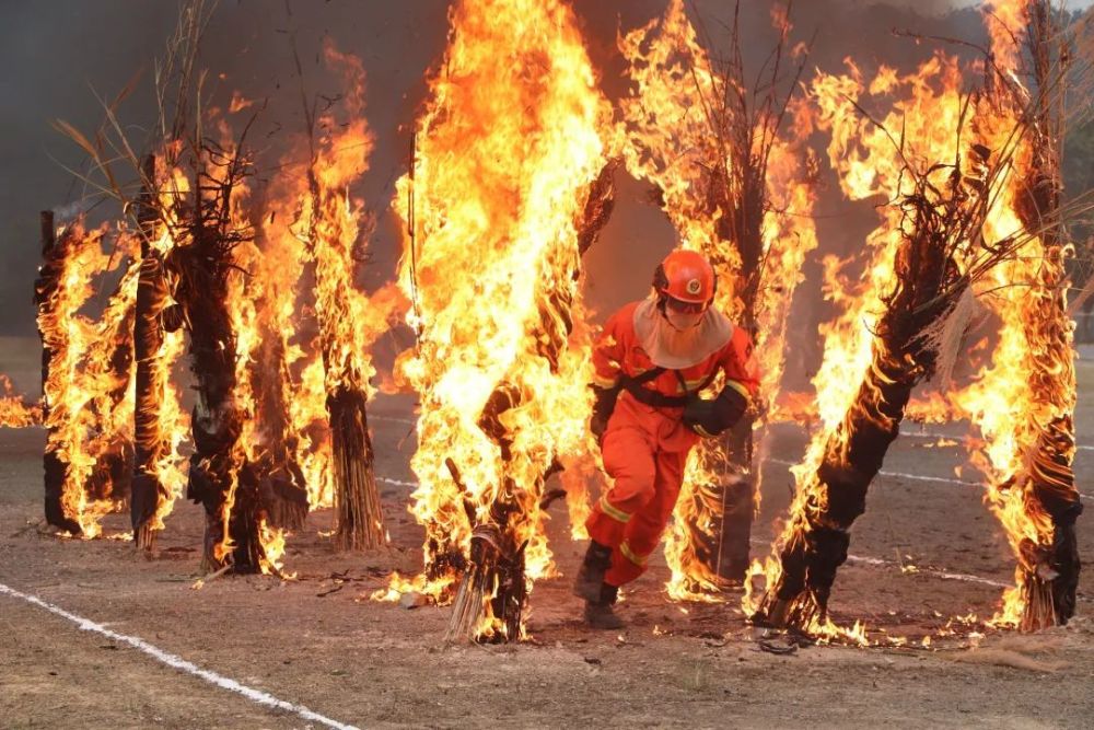 新春走基层消防员陈佳钦刷新训练纪录只是生活的一部分