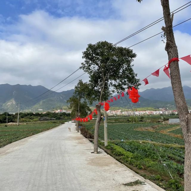 园庄镇在市县道安部门,农业农村局的指导下,探讨形成修桥,铺路,砍树