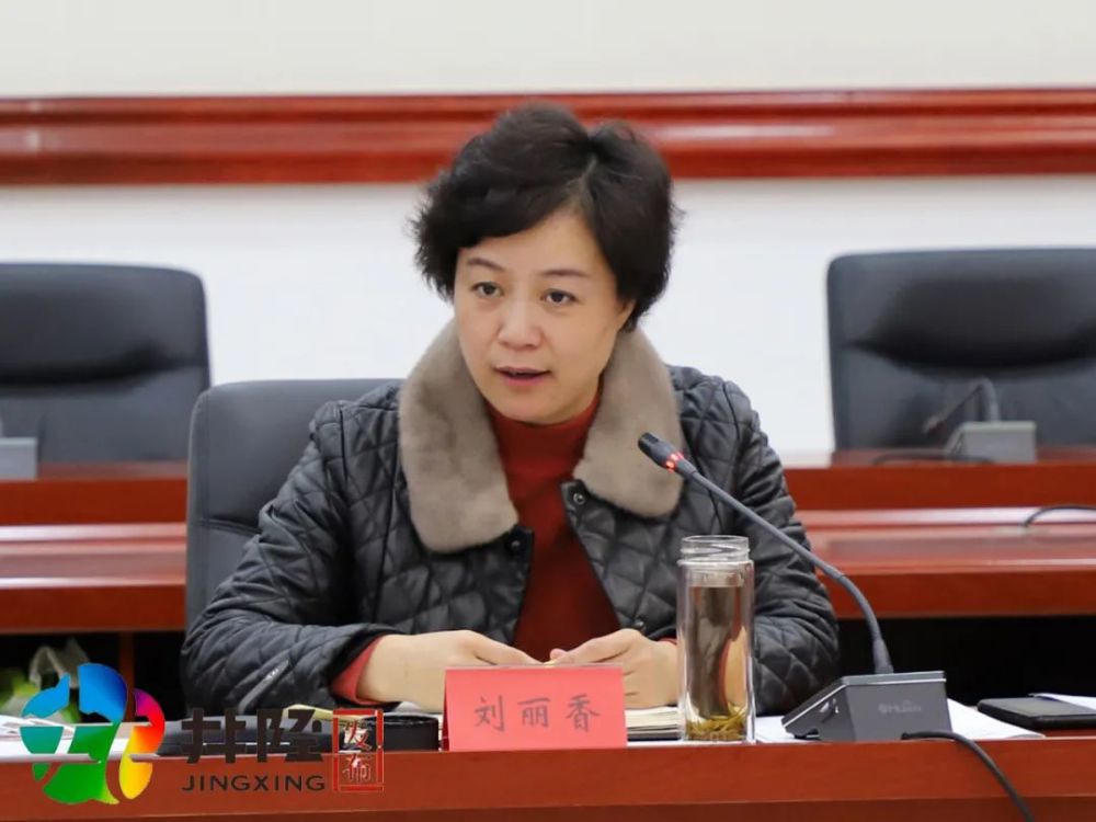 刘丽香参加分组讨论