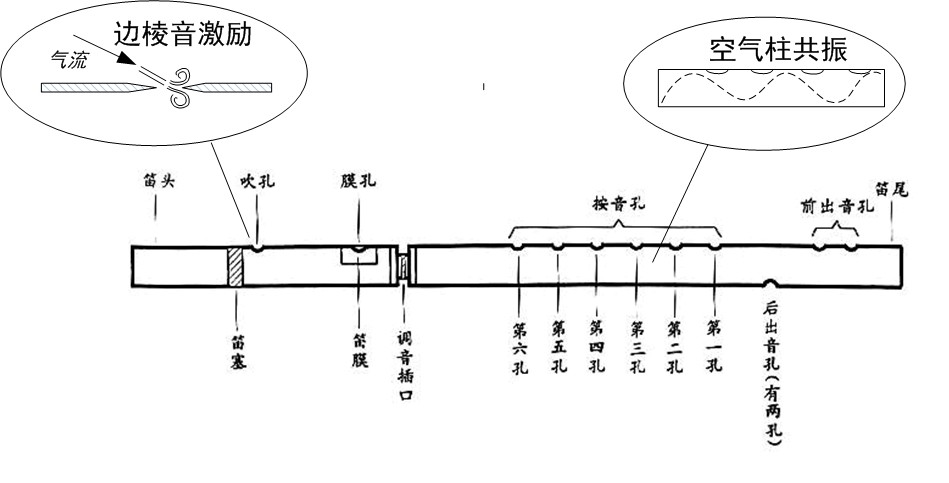 笛子的发声原理(图片来源:作者绘制)而簧振动则是由簧片的振动而发音