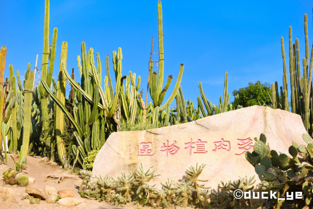 万石植物园免票开放,亲子游好去处!