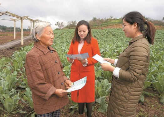 最關鍵的是,大學生村官是沒有編制的,更是留不住人.