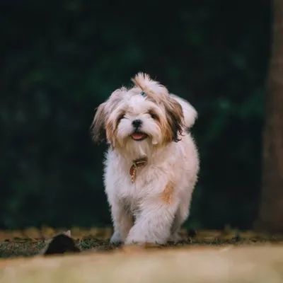 头像别叫我忘了你我根本就没记住你