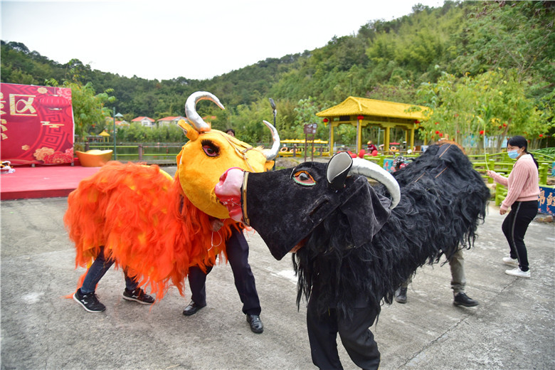 春节假期到肇庆宝锭山舞春牛鞭春牛新年播下希望打走懒惰