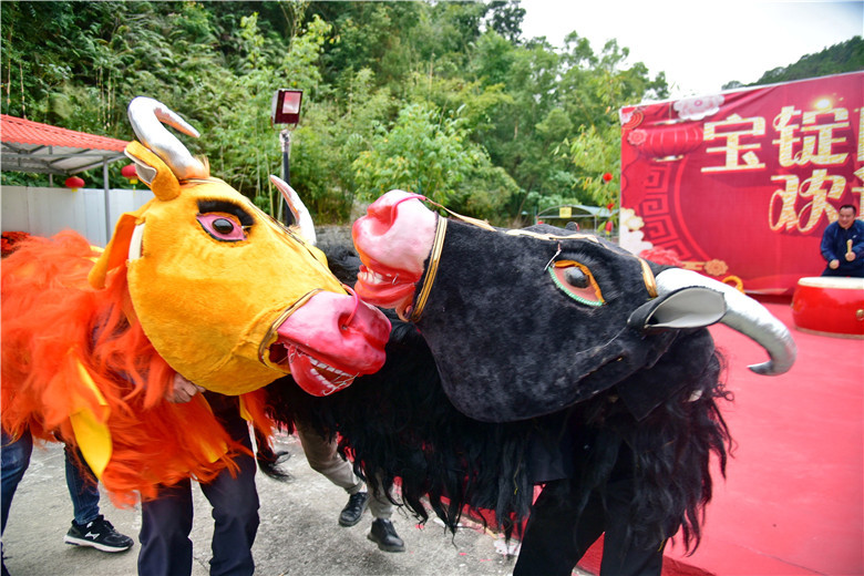 春节假期到肇庆宝锭山舞春牛鞭春牛新年播下希望打走懒惰