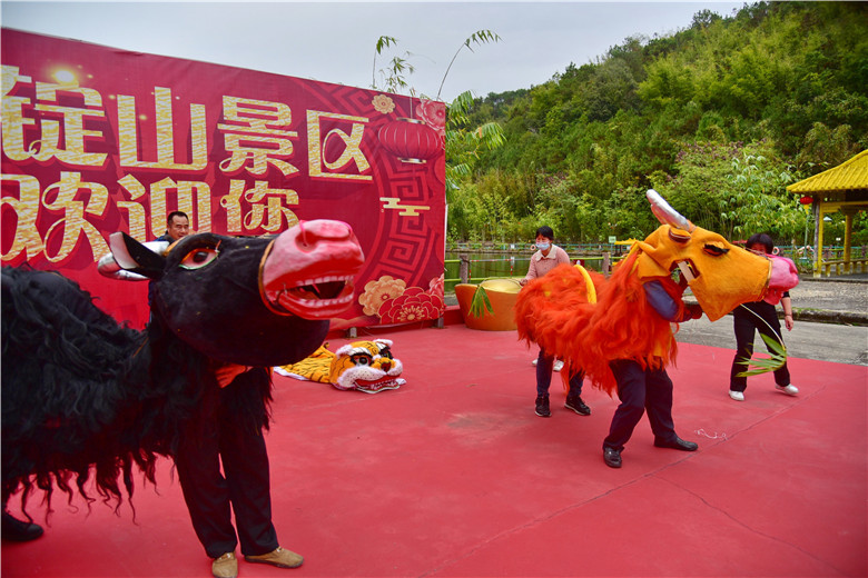 春节假期到肇庆宝锭山舞春牛鞭春牛新年播下希望打走懒惰