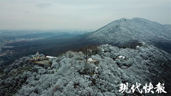 雪沒爽約南京紫金山頂一夜披上冰雪新裝