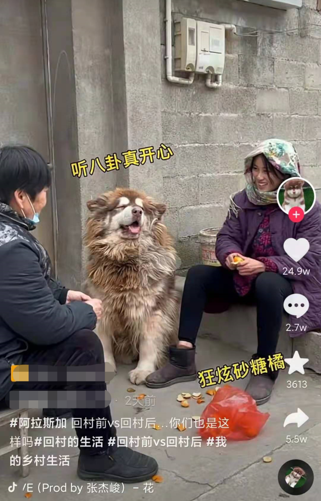 回村前vs回村后差别能有多大?网友们开始斗图了,场面过于真实