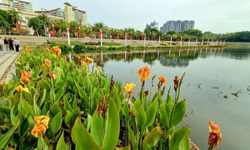 一道靓丽景观阳江市区连环水库水质升级