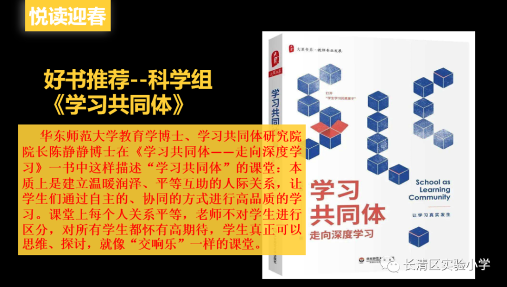 科学教研组的老师们对《学习共同体—走向深度学习》进行了深入研读