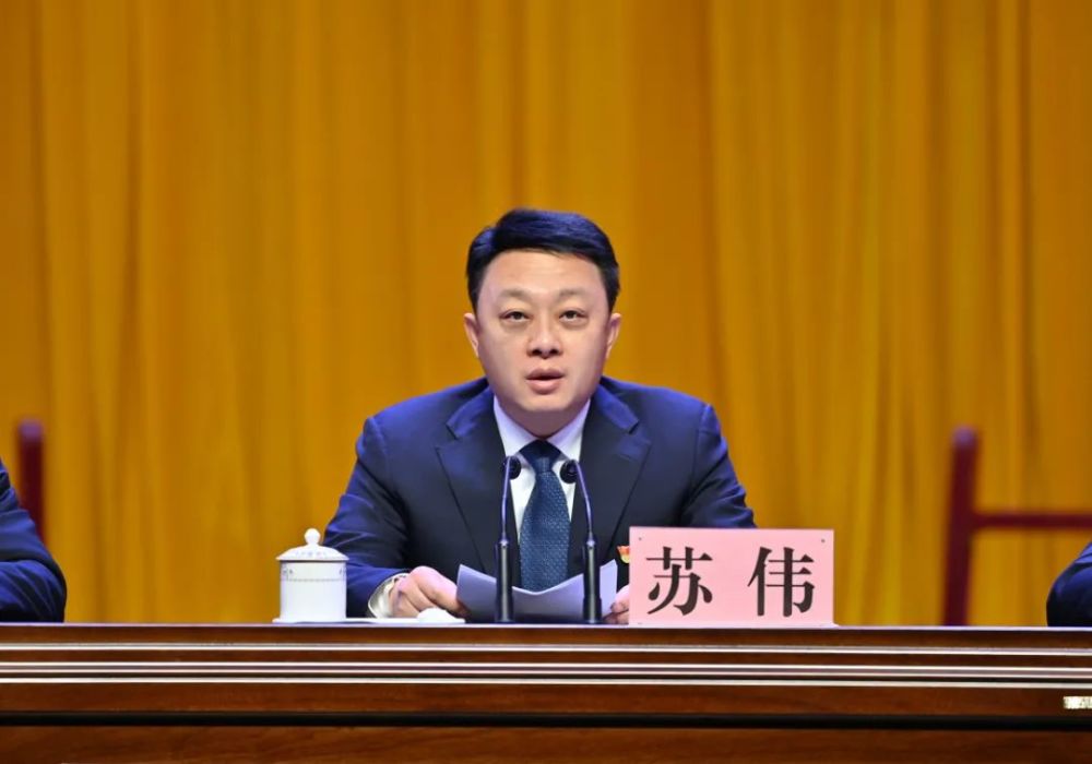 县委书记苏伟讲话,县四套班子领导张晨,朱韶伟,吕亚凯,徐军,张弥雷