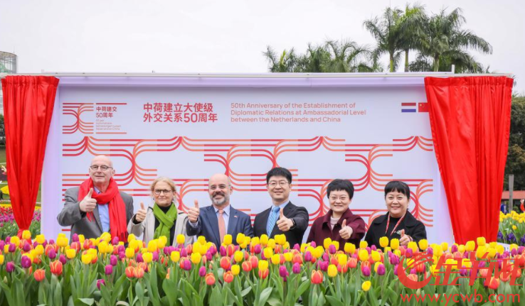 庆祝中荷建交50周年荷兰主题沉浸式花艺装置在云台花园揭幕