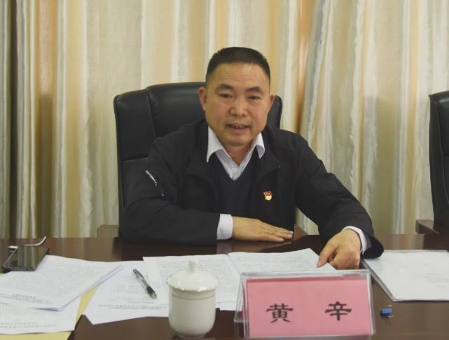 学习教育专题民主生活会|民主生活会|覃昊|黄辛|党史学习教育|党委