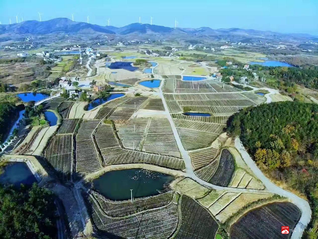 广水市关庙镇量变到质变乡村振兴在路上