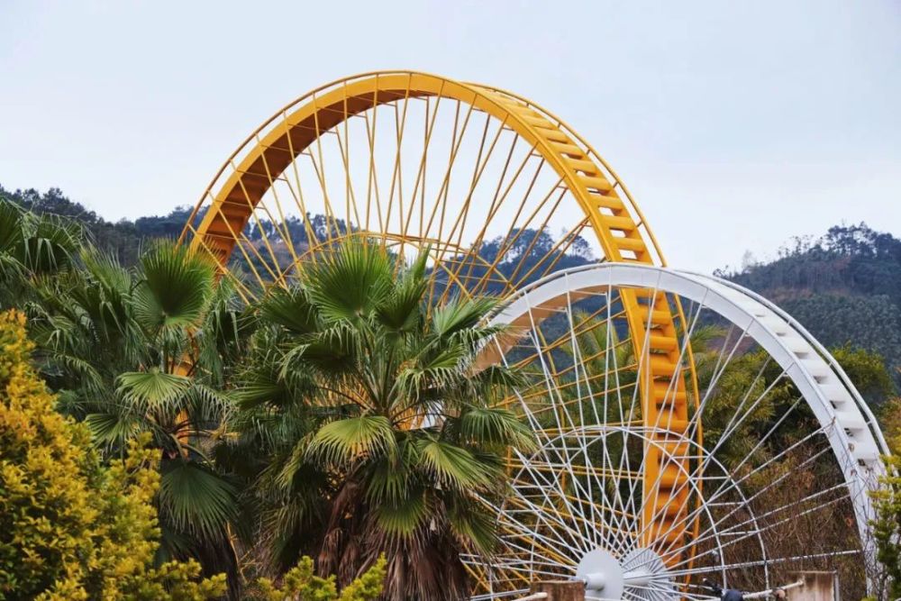 竹山湖欢乐谷先后获得玉林市家庭示范农场,农业部水产健康养殖场,休闲